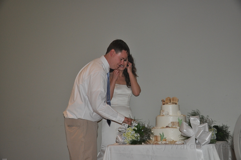 Patrick and Jen's Wedding - Cake 21.jpg